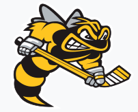 Sarnia Sting logo
